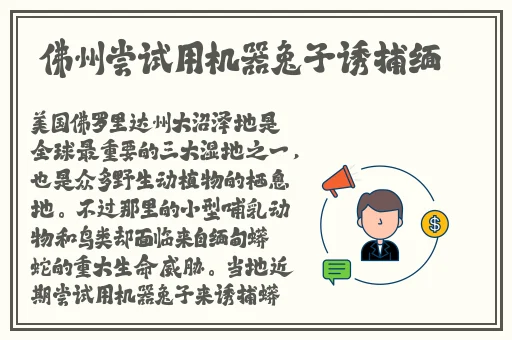 久久人人爽人人片浪潮AV高清